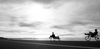 Antelope-Island-Photo1.jpg