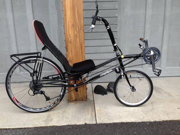 p38 recumbent