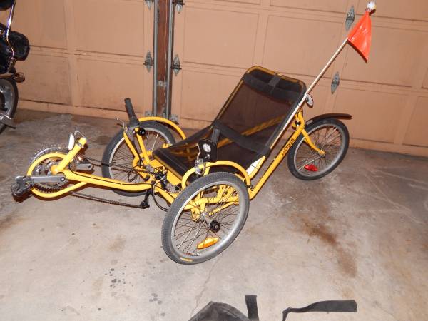 sidewinder recumbent trike